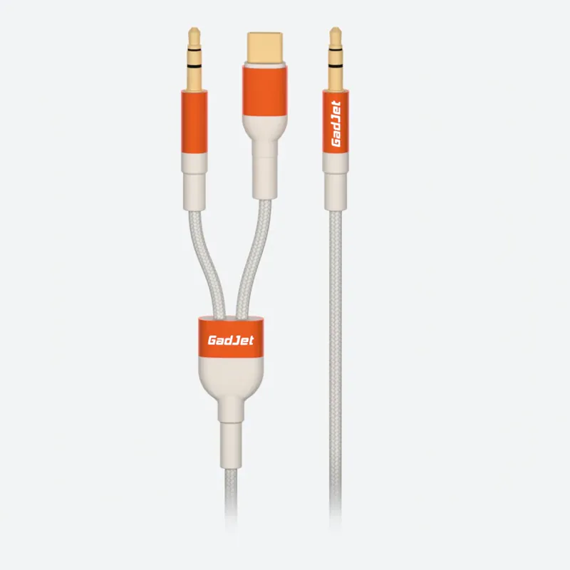 2-in-1 AUX + USB-C Audio Cable